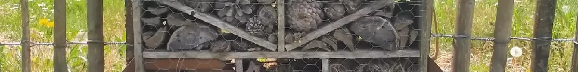 concours hôtel à insectes